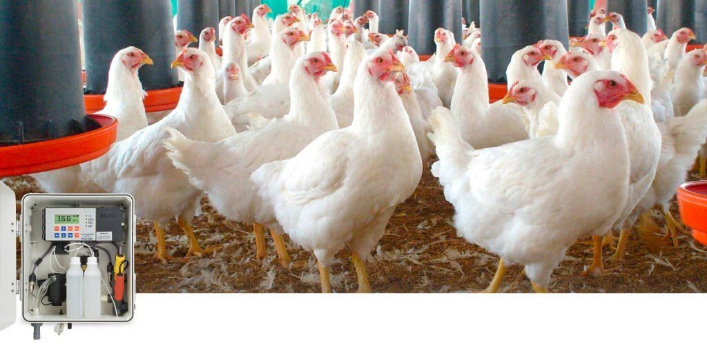 boletin agricultura avicultura 1