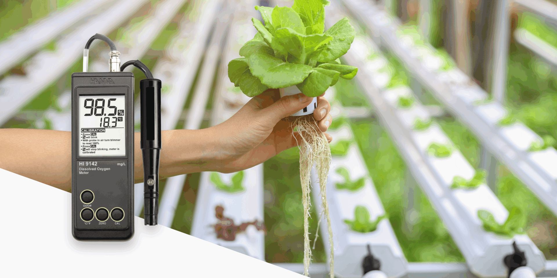 Medición de oxígeno disuelto en sistemas hidropónicos con el medidor HI9142 de Hanna Instruments