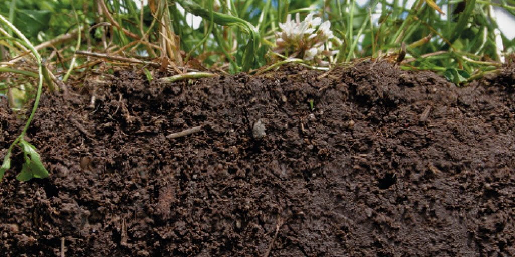 Medición de nitratos en los lixiviados provenientes de la agricultura »  HANNA® instruments México