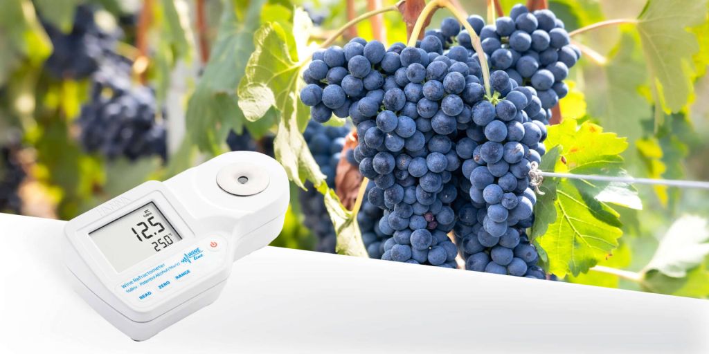 boletines junio 2026 HI96813