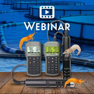 WEBINAR marzo 2026 sitio web