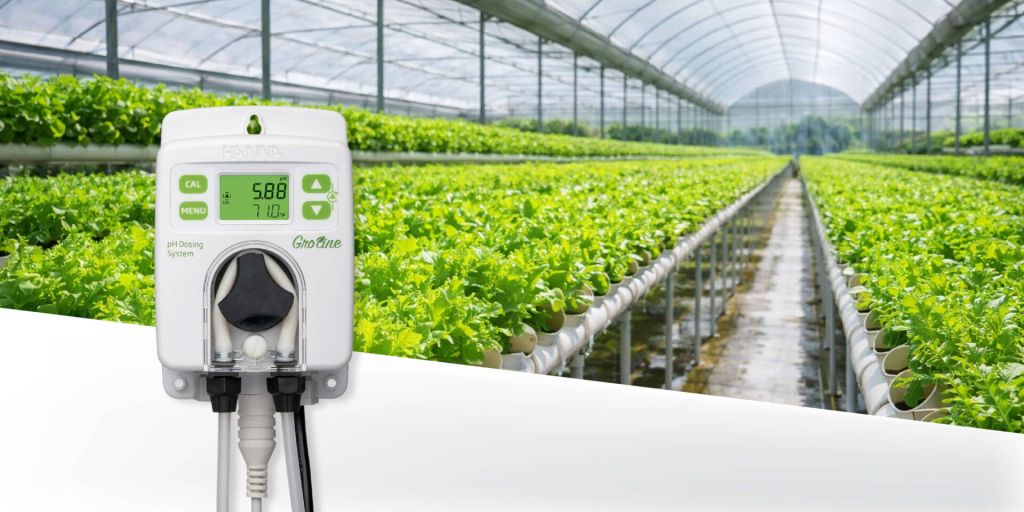 boletines junio 2026 HI981412 (1)