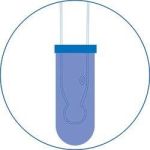 landing halo Condition Large