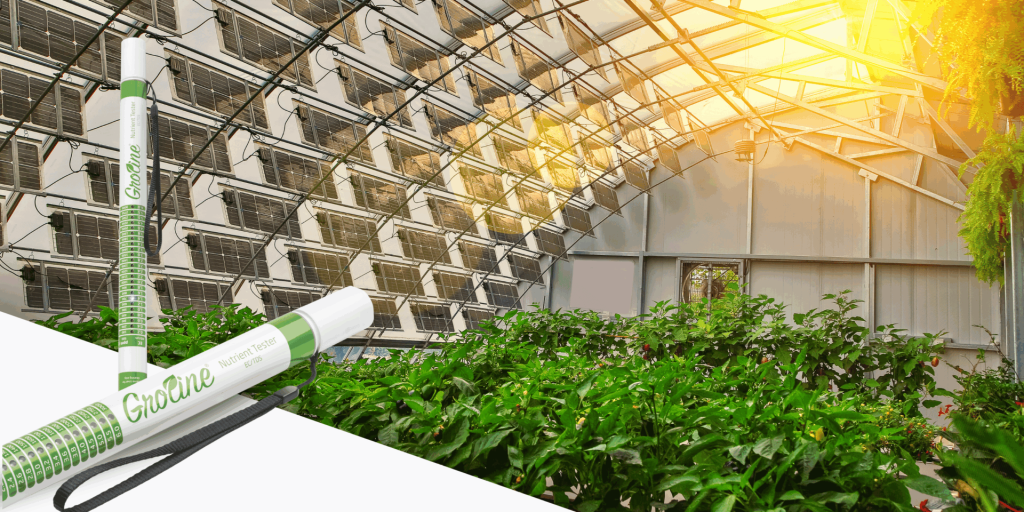 Medición de la calidad del agua en cultivos hidropónicos